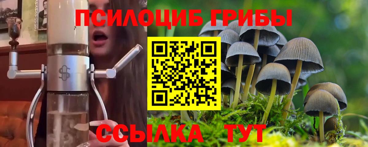 Псилоцибиновые грибы Magic Shrooms  Галлюциногенные грибы прущие грибы  Вход с VPN  Конаково 